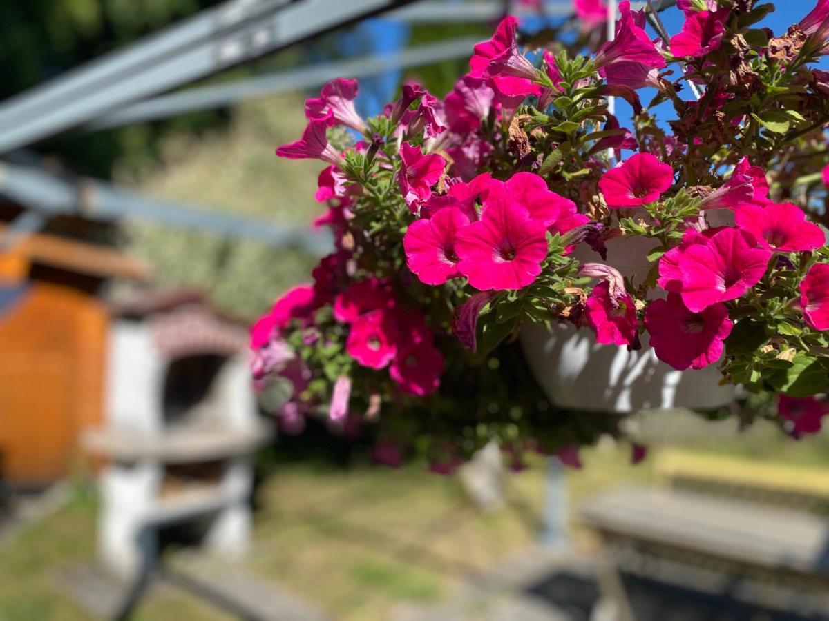 Ferienwohnung Am Franziskanergarten 바트톨즈 외부 사진
