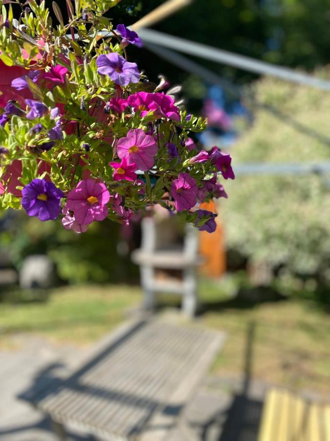 Ferienwohnung Am Franziskanergarten 바트톨즈 외부 사진