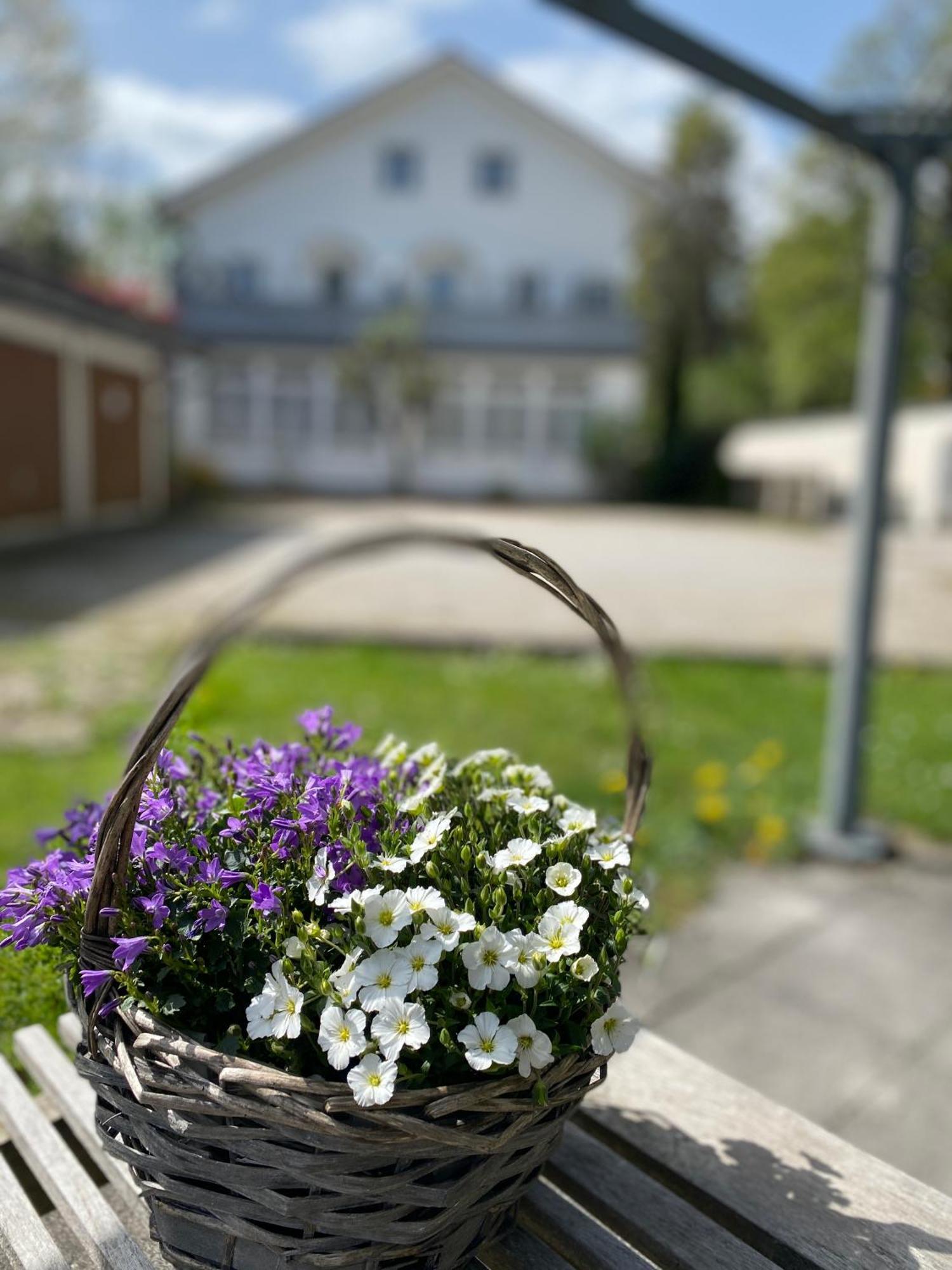 Ferienwohnung Am Franziskanergarten 바트톨즈 외부 사진